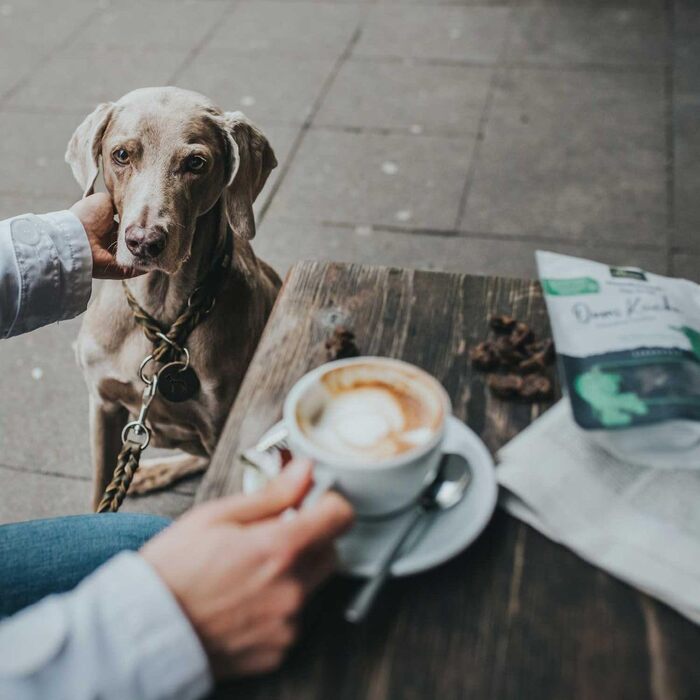 HUNTER Halsung Dressur SOLID EDUCATION: міцна шкіряна хальцтвочка для дрессури, ручної роботи, з гальмівним кільцем, Made in Germany, розмір L-XL, оливковий колір