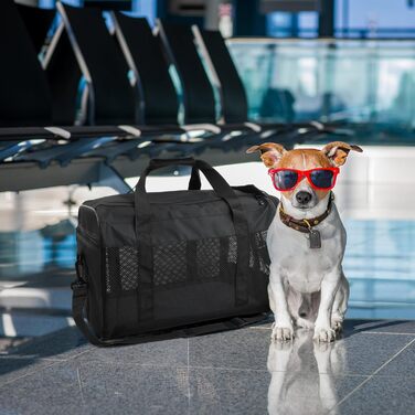 Транспортна сумка для кота та собаки Amexo, складана переноска для тварин, переноска для котів та собак середніх розмірів до 10 кг, 44 x 27 x 28 см (чорна)