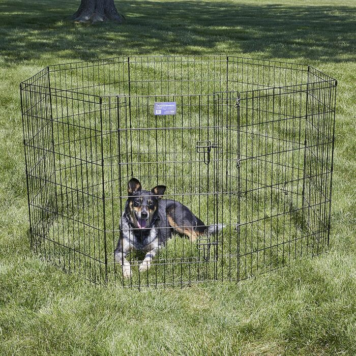 Клітка-загон для собак Midwest Homes for Pets 550-36DR, 157x157x91 см, чорна емаль, з дверцятами