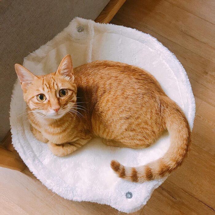 Дерев'яний когтеточка для котів Kratzbaum з будиночком, гамаком, ліжком та когтеточками, 41 x 48 x 41 см, білий, обмотаний сизалем, з іграшкою на шнурку