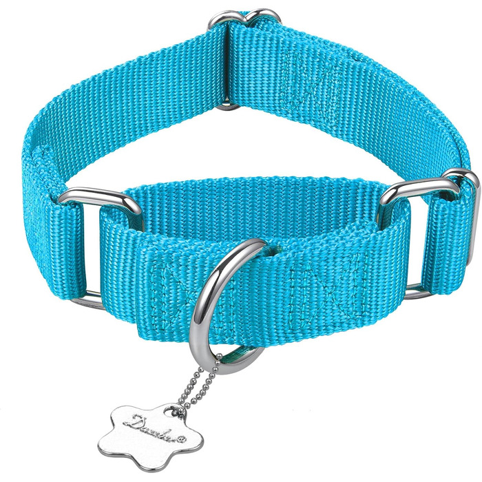 Нашийник для собак Dazzber Martingal, регульований, міцний, анти-вислизання, нейлон, для великих/середніх/маленьких собак (L(42-66см))