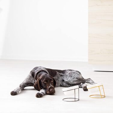 Набір мисок для котів та собак Navaris з металевим підставкою (2 шт.) - керамічні, похилі, для годування, сріблясті/чорні