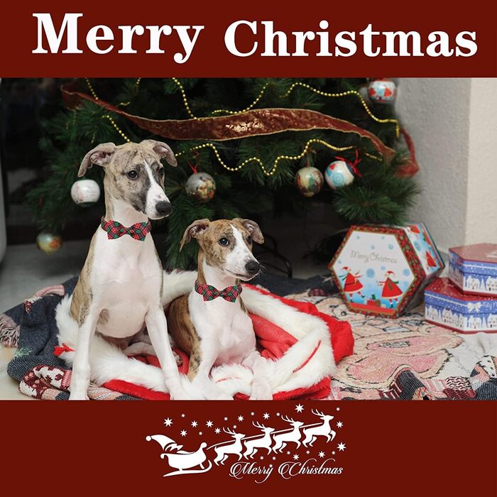 Нашийник для собак та котів з бантиком, міцний, регульований, для дівчаток та хлопчиків (L, Зелений, Червоний)