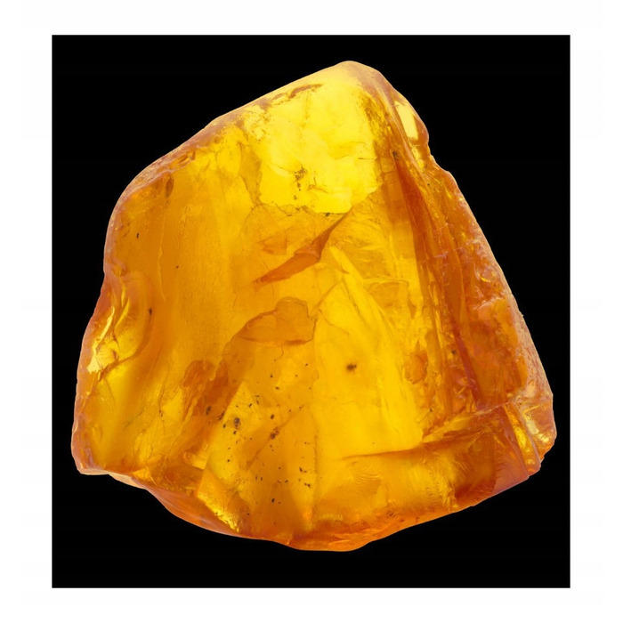 Парфумована вода Yodeyma Escitia для жінок, 100 мл