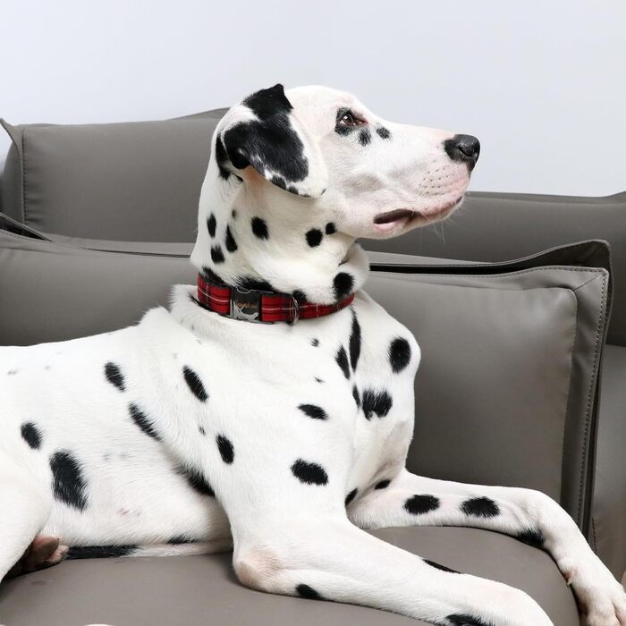 Нашийник для собак Unique Style Paws, регульований, м'який та зручний, в клітинку, для малих, середніх та великих собак, обхват шиї 25,4–40,6 см, червоний