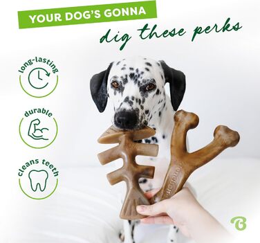 Benebone Indestructible Dog Chew Toy Gift Box for Aggressive Chewers with Wishbone, Fishbone, Stick & Zaggler, Long-Lasting Boredom Buster, Flavored, for Small Dogs, Made in (Fishbone/Wishbone, Medium)