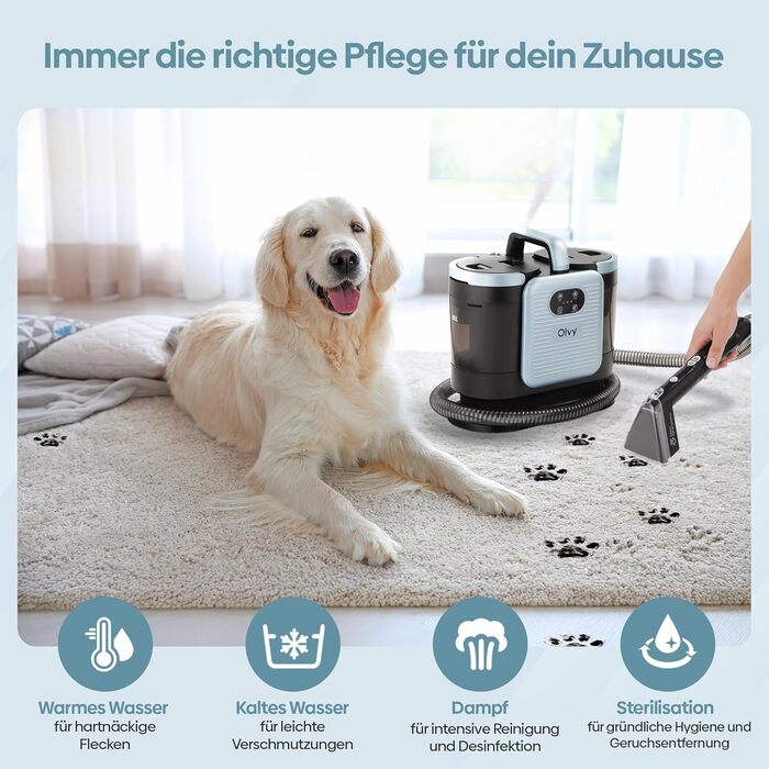 Olvy Teppichreiniger PRO: професійний пароочисник для килимів, диванів та матраців – 1650W, з миючим засобом