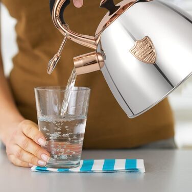 Чайник-свисток з нержавіючої сталі, 2.8 л, срібний, Silber-go