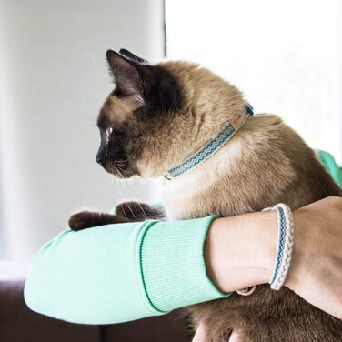 Нашийник для кота Pettsie з безпечною застібкою та браслетом дружби, міцна бавовна, D-подібне кільце для аксесуарів, регульований розмір 12,7-20,3 см, блакитний