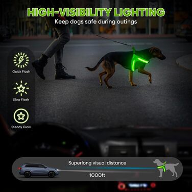 Світловідбиваючий поводок для собак середнього розміру BiPawTi, перезаряджуваний світловідбиваючий жилет для собак з 3 режимами освітлення - світлодіодна шлейка для собак, що світиться в темряві, для кемпінгу з собакою - зелене світло