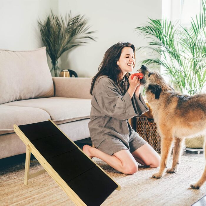 Froadp 49x38x61cm Folding Dog Stairs - Plastic Folding Pet Stairs with 4 Steps & Felt Mat - Non-Slip Cat Stairs Bed Balcony Sofa Portable Pet Stairs for Dogs and Cats (Wood Type A)