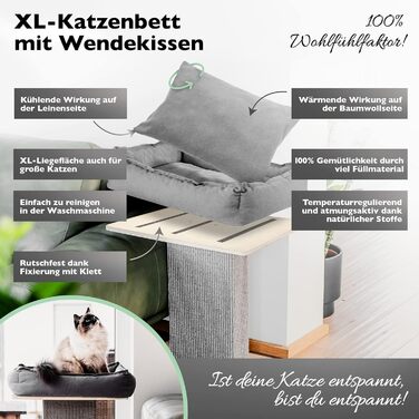 Nemmy Premium Cat Tree Small Beige | Stable Scratching Post Extra Wide | Cat Bed with Cushion | Cat Tree for Large Cats | Modern Wood Natural | Scratching Post | Scratching Post (Birch/Dark Grey)