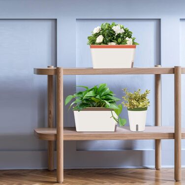 GardenBasix самополивний горщик-контейнер для кімнатних рослин, декоративний прямокутний вазон для квітів та трав, набір 6 шт., три кольори, для дому та саду