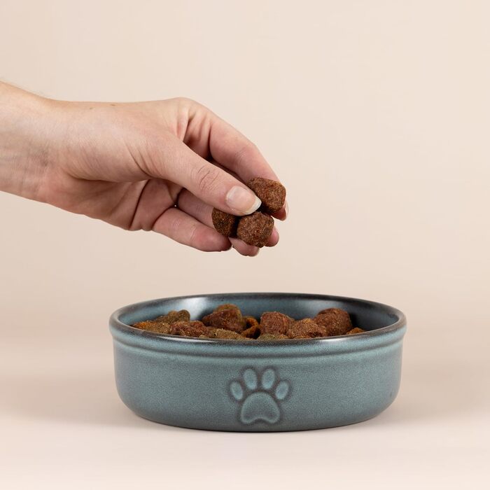 Миска для собак Mason Cash Reactive Paw, 18 см, 950 мл, для великих собак, кераміка, для миття в посудомийній машині та заморожування