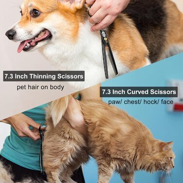 CIICII 10-in-1 Professional Dog Grooming Kit with Rounded Safety Tips - Dog & Cat Hair Scissors Set