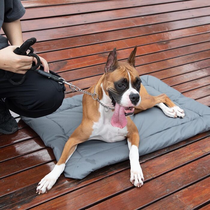 LATRAT Зворотне складне водонепроникне ліжко для собак, килимок для собак для подорожей, кемпінгу, на вулицю, з неслизьким дном, 90x60 см