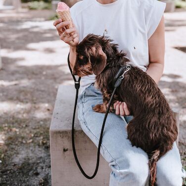 Нашийник для собак HUNTER Round & Soft Canadian UP, чорний, м'яка шкіра, безшовний, для догляду за шерстю, екологічний, Made in Germany, розмір XXS-XS