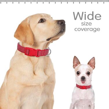Відбиваючий нашийник для собак Didog з пряжкою, регульований, м'який неопрен, з підкладкою, нейлон, для малих, середніх та великих собак, зелений, L (M: Neck 25-43cm, Червоний)