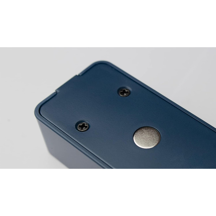 Термометр для гриля та м'яса SCALESON S410 бездротовий з підключенням до застосунку, радіус дії 10 метрів, швидка зарядка за 5 хвилин