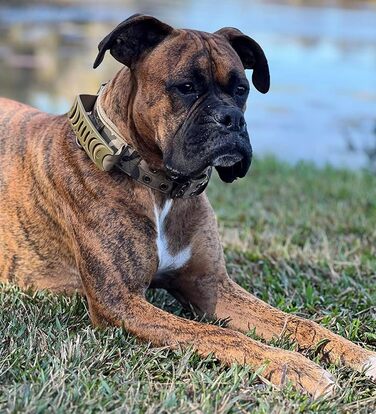 Персоналізоване тактичне нашийник для собак середніх та великих порід, нашийник з іменем та номером телефону (стиль B)