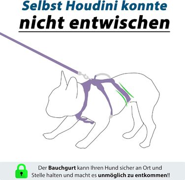 Нашийник для собак з повідком, безпечний нашийник від виривання, анти-тяга, нашийник для собак з ручкою та світловідбиваючими елементами, легкий, регульований, для середніх собак (XS) (Дуже маленький, фіолетовий)