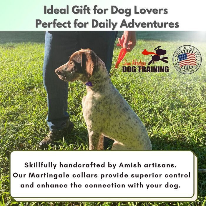 Нашийник для собак Artingale від JI HODGES, біотана, невеликий розмір (фіолетовий), професійна якість, не дає тягнути