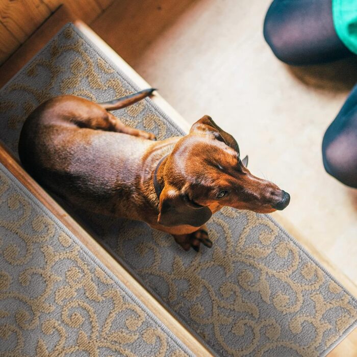 Сходинкові сходи Sussexhome Leaves Collection Beige - набір 13 шт.