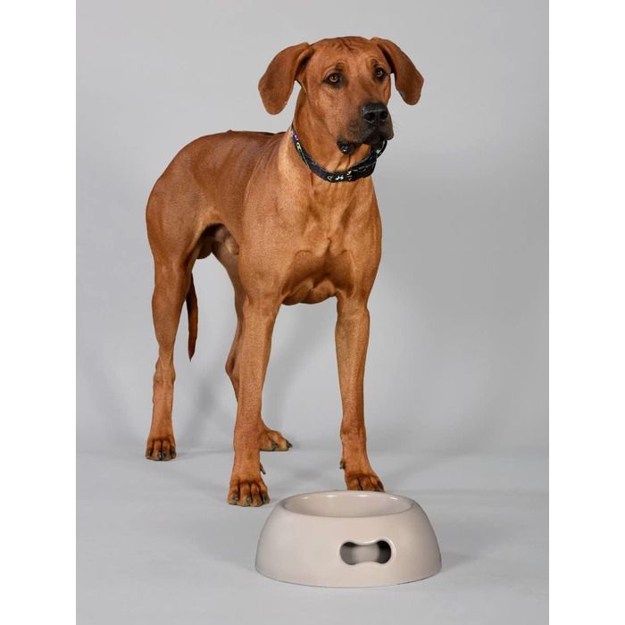 Миска для собак UNITED PETS Pappy, екологічна, зроблена в Італії, 1.1 л (Рожева, L)