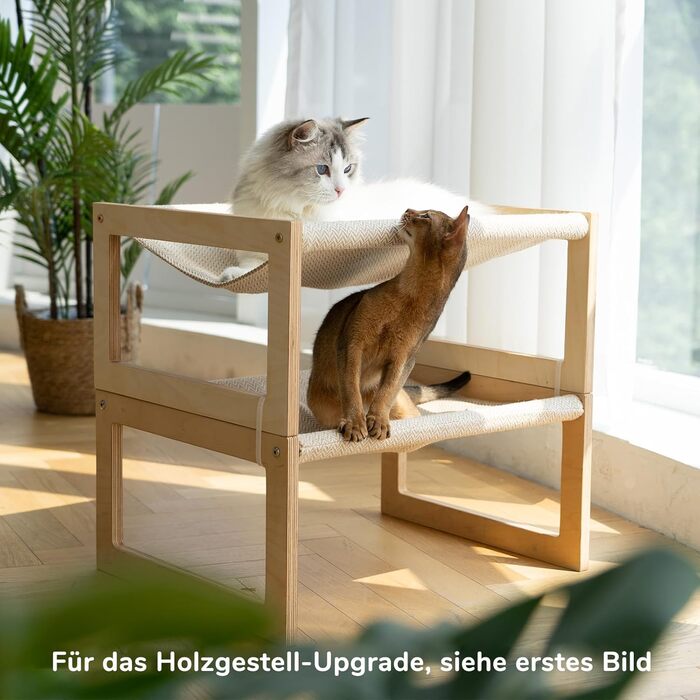 Cat bed and dog bed, elevated, large and breathable, made of high-quality birch plywood, 53W x 42L x 25H cm - ideal for cats and small dogs