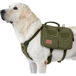 колір: зелений