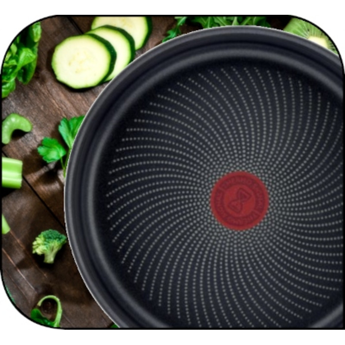 Набір сковорідок Tefal Intuition, 4 предмети, сріблясті, з антипригарним покриттям, 20/24/26/28 см