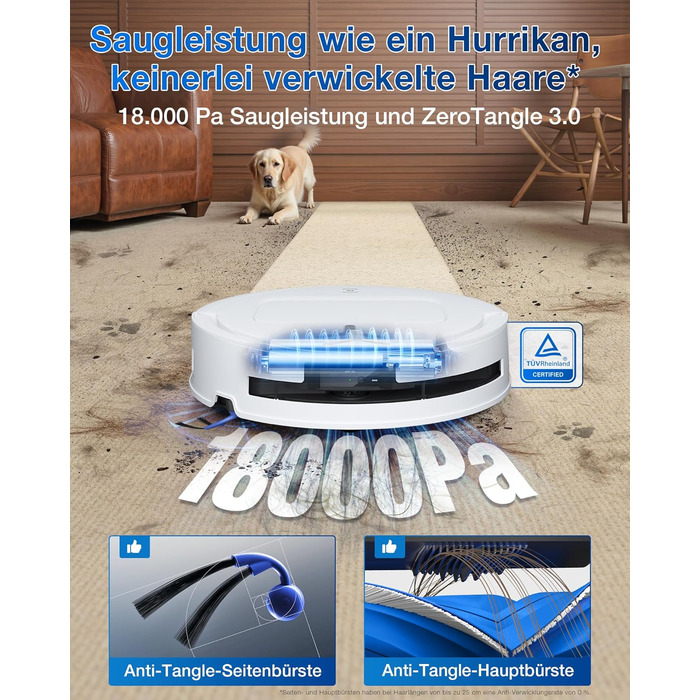 Робот-пилосос ECOVACS DEEBOT T80 Omni з функцією миття підлоги, 18000 Па, OZMO Roller, автоматичне миття мопів, ZeroTangle 3.0, миття гарячою водою (40-75°C), білий