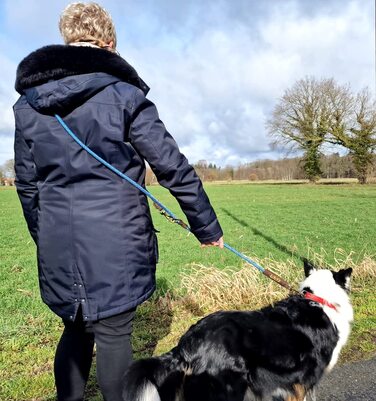 Персоналізований поводок для собак або нашийник: регульований, з натуральної шкіри, зі старовинною латунною фурнітурою