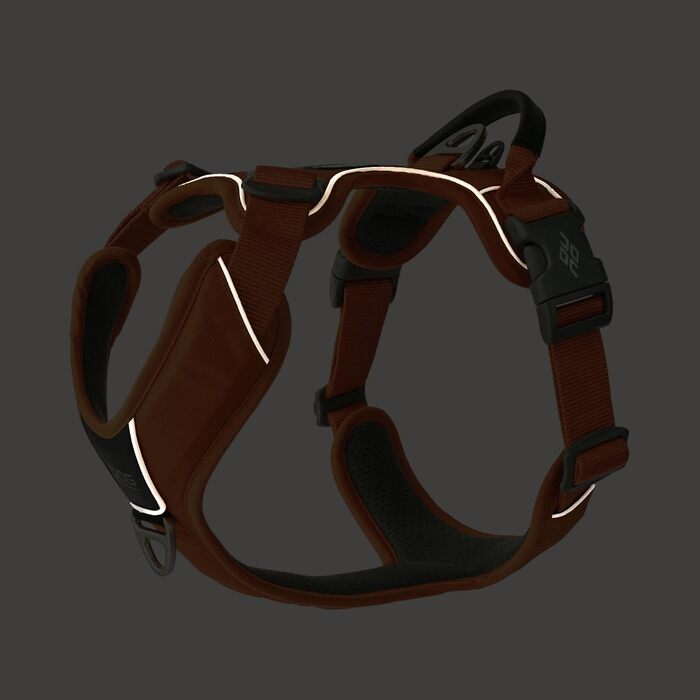 Нашийник для собак DOG Copenhagen Comfort Walk Pro, Wild Rose, розмір M