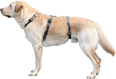 Шлейка для собак Kerbl Pet Panikgeschirr, сіра, для тривожних собак, регульована, ширина ременя 20 мм, обхват шиї 38-52 см, обхват грудей 55-74 см