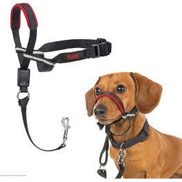 HALTI Optifit Head Collar, Size - Prevents your dog from pulling on the leash, Easy adjustment, Lightweight, with padded nose band, Anti-pull harness for large dogs (Small)