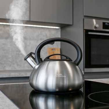 Класичний сталевий чайник Karl Hausmann, 2,5 л, чорний, сріблястий, сірий