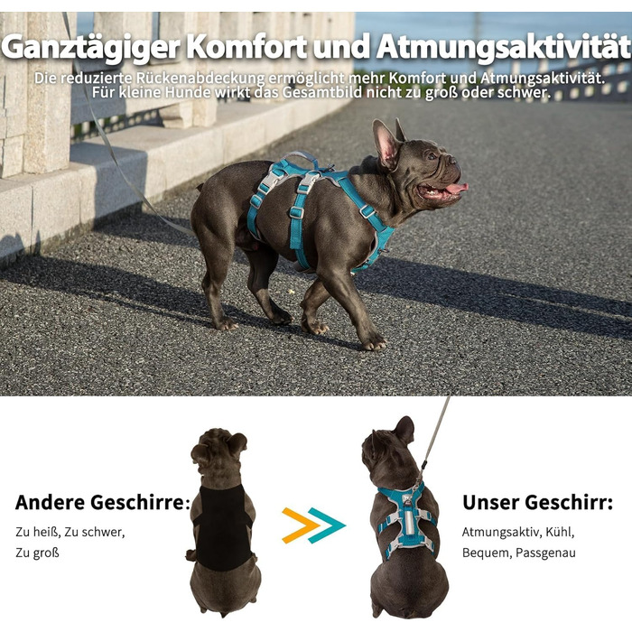 Шлейка безпеки для собак Huntboo, антизламна, зі світловідбиваючими елементами та м'якою ручкою, регульована жилетка для маленьких собак, для прогулянок та тренувань (S, Синій, X-Small, упаковка з 1)