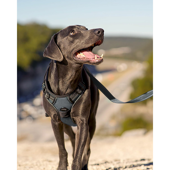 Шлейка для собак Joytale, середнього розміру, світловідбиваюча, дихаюча, з ручкою для контролю та тренувань, сіра, M (1 шт.)