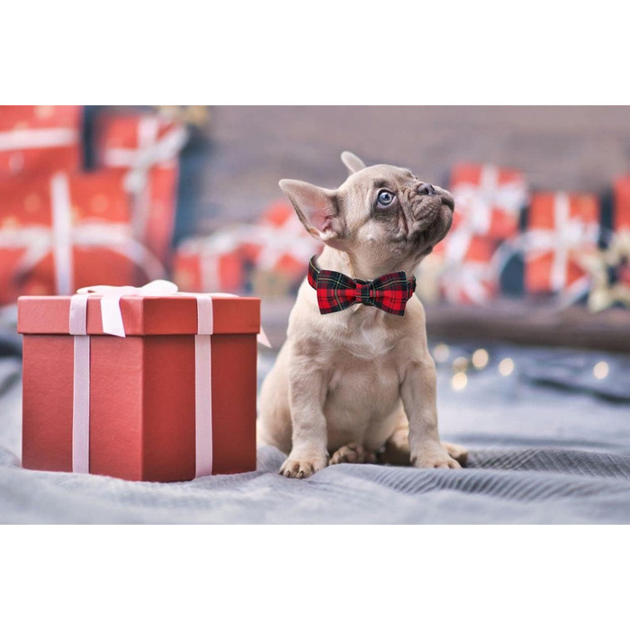 Нашийник для собак Lionet Paws на Halloween з метеликом, бавовна, XL, 34-55 см, для собак