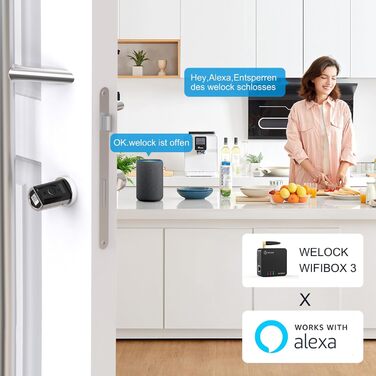 Електронний дверний замок WELOCK Touch41 з відбитком пальця, Wi-Fi, Bluetooth, RFID, IP65, для дверей 50-100 мм, сумісний з Alexa