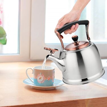 Нержавійна чайник для кемпінгу 3L з носиком, для плити та індукції, срібний