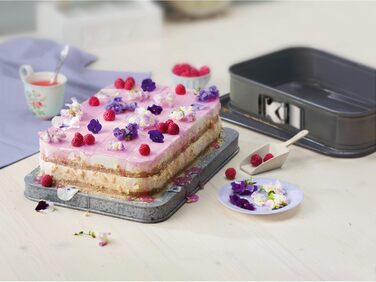 Original Kaiser La Forme Plus Springform Rectangular 35 x 24 cm, Rectangular Baking Pan, Cake Pan with Enamel Base, Cut-Resistant, Tiramisu Pan Non-Stick Coated, Cut-Resistant