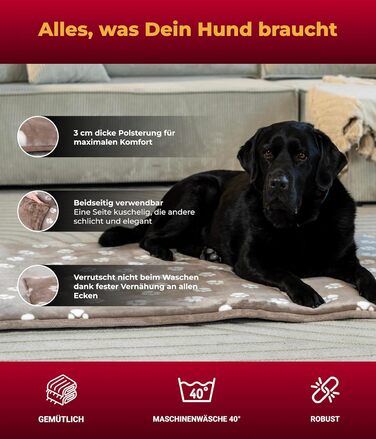 Підстилка для собак XS (45x65 см) – двостороння та зручна з наповнювачем 3 см – ідеальна для дивану, авто та переноски – Made in Germany (75 x 115 см, Tatze Beige)