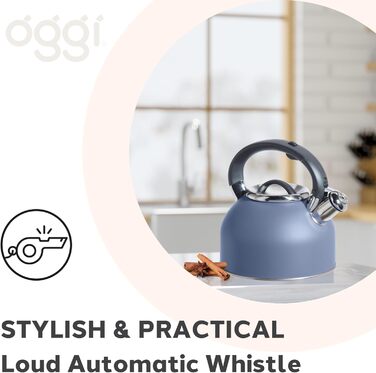 Чайник OGGI з нержавіючої сталі, 1.9 л, з гучною свистком, блакитний