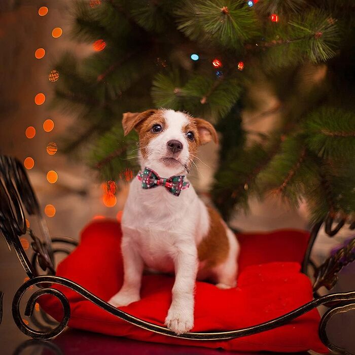 Нашийник для собак Lionheart Glory з візерунком клітинки, регульований м'який нашийник з метеликом, нашийник з бантиком для середніх собак, подарунок для домашніх тварин, червоно-зелена клітинка (1 шт.)