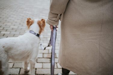 Нашийник для собак HUNTER Neopren Vario Plus, лаванда/сірий, S-M