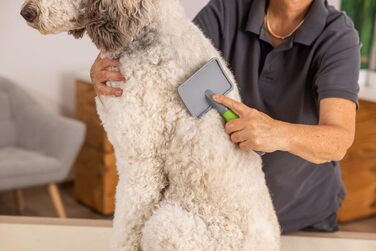 Видалення ворсу Wahl Große Zupfbürste - професійна щітка для грумінгу собак та котів з гелевою ручкою (зелена)