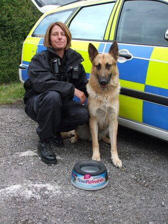 Поїлка для собак Road Refresher, велика, рожева (1 шт.)