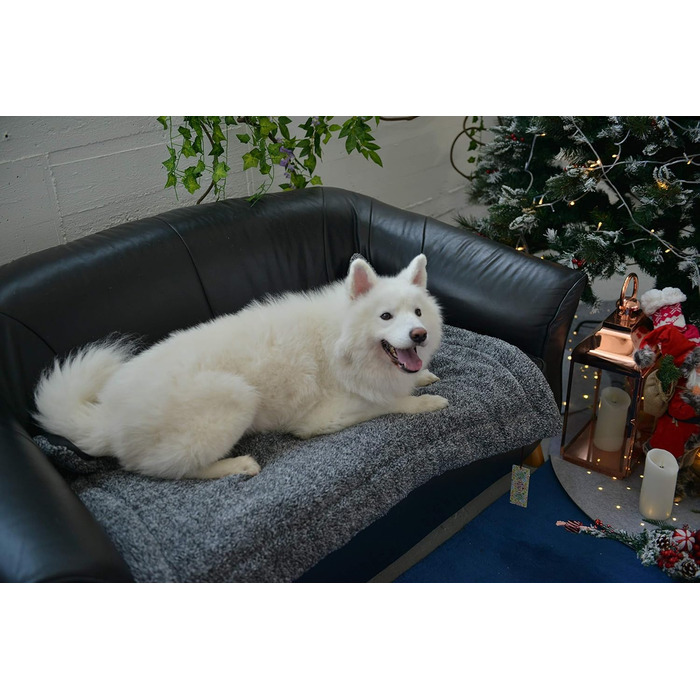 М'яка ковдра для собак та котів Raikou з плюшевою подушкою, 80x60 см, блакитний мікс (миється, не ковзає)